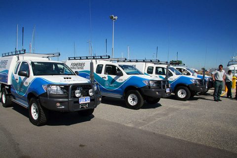 fleet-signs-toyota-hilux